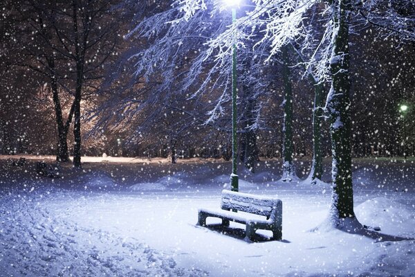 Banco de invierno en el parque nocturno