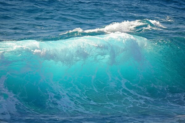 Onda oceanica. Surf Marino