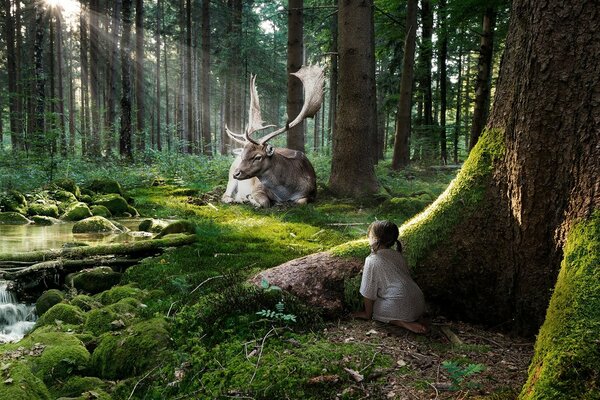 Mädchen und Hirsche im Wald häufiger