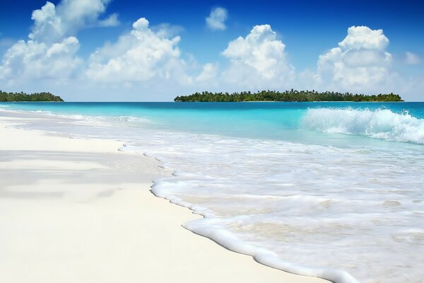 The sea foam of the blue sea rolls onto the sandy shore