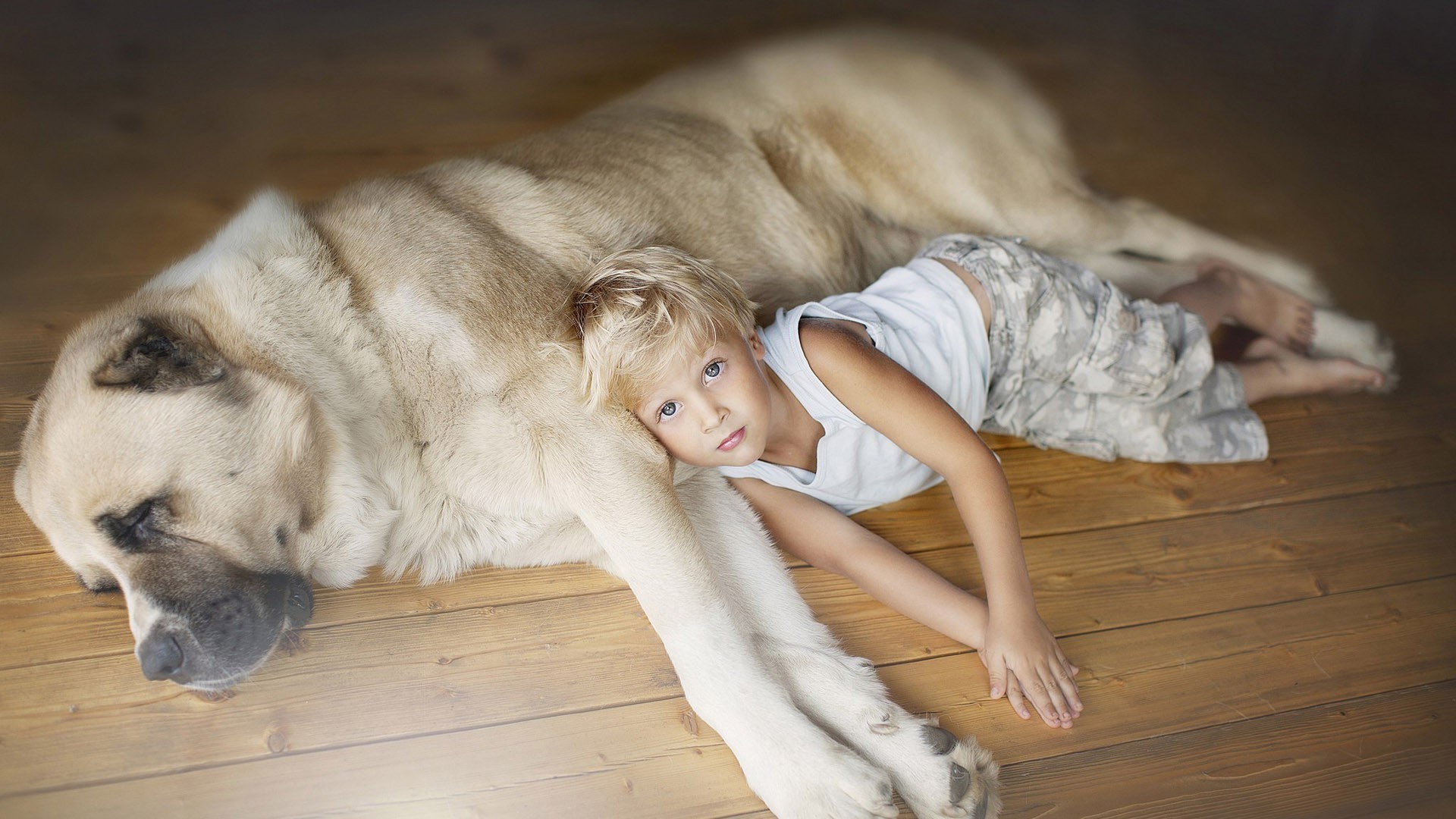 children with animals cute portrait dog one mammal looking woman indoors young