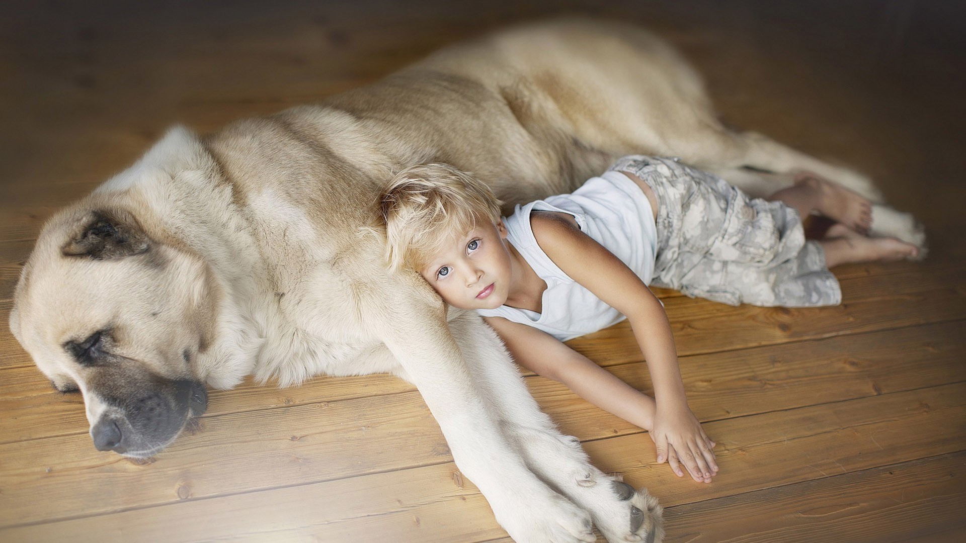 enfants avec animaux mignon portrait chien un mammifère vue femme à l intérieur jeune