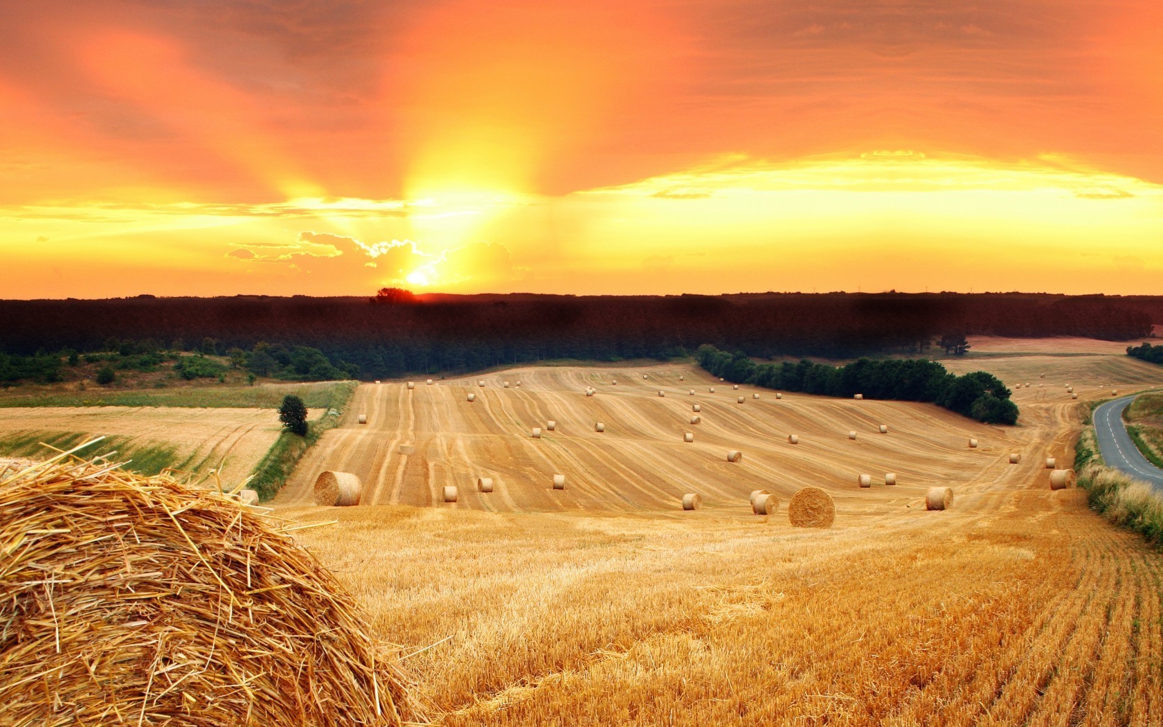 puesta de sol y amanecer trigo puesta de sol rural cielo paja cereales campo sol heno naturaleza agricultura al aire libre amanecer paisaje pasto verano noche buen tiempo centeno