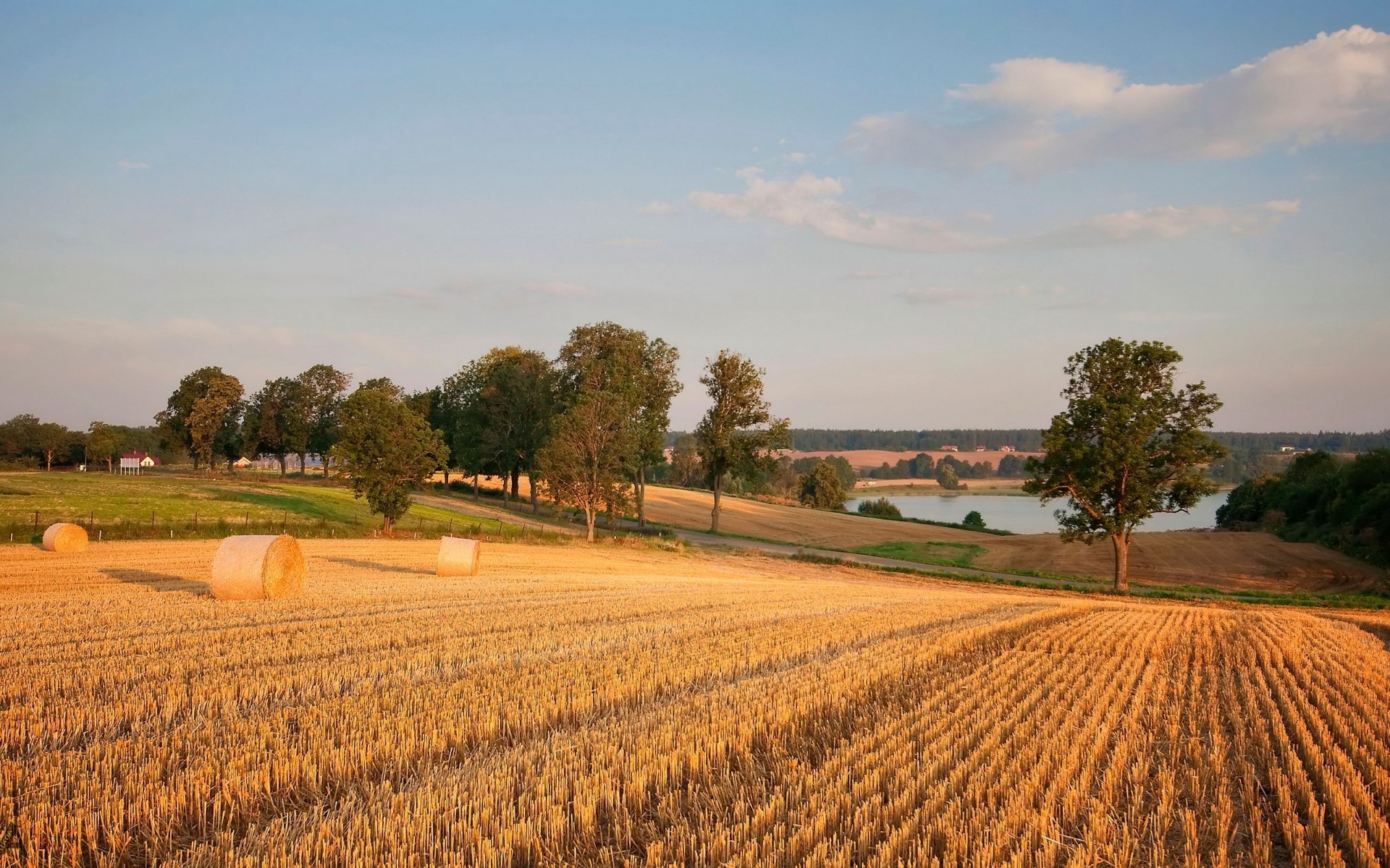 see landwirtschaft bebautes land im freien bauernhof des ländlichen feld weizen landschaft landschaft ernte weide baum flocken natur himmel tageslicht ackerland wachstum boden