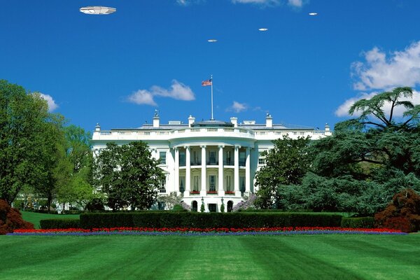 Green lawn at the White House