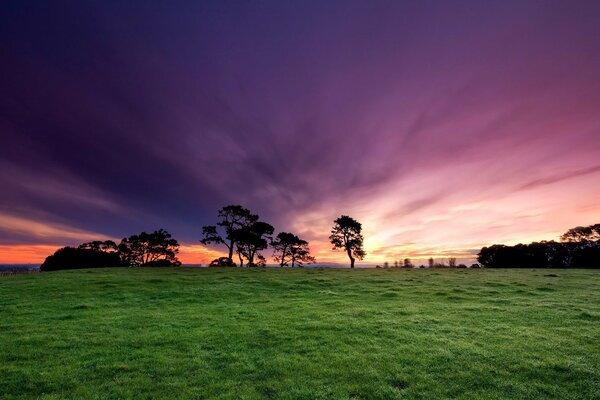 Cielo rosso al tramonto su un campo verde