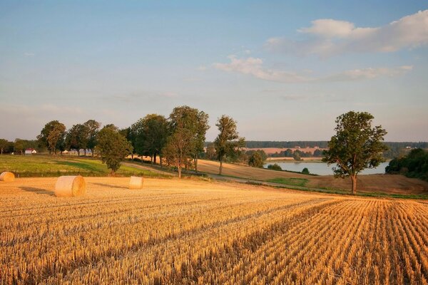 Heuernutzung in der Nähe des Sees