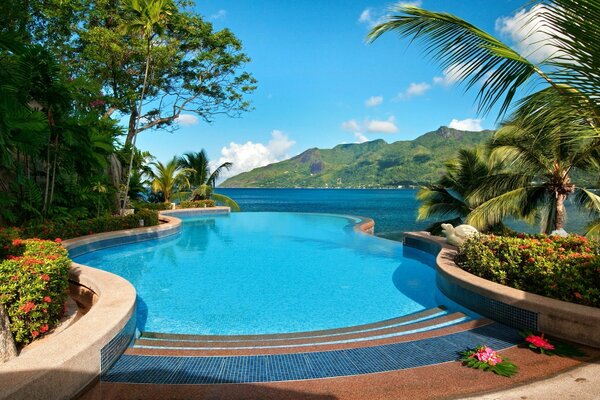 Gorgeous swimming pool with clear water