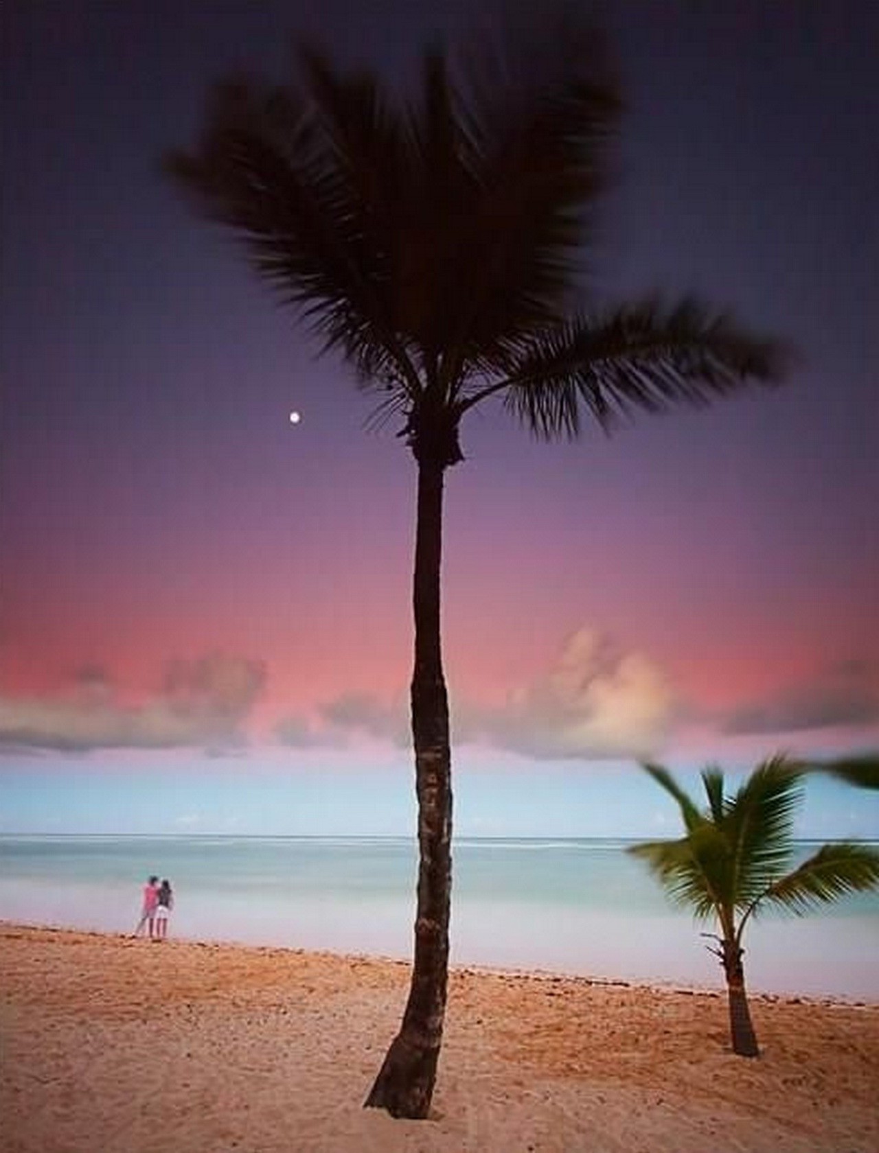 luoghi famosi spiaggia sabbia tropicale oceano mare sole palme estate acqua paesaggio isola tramonto idillio albero cocco viaggi esotico vacanze paradiso