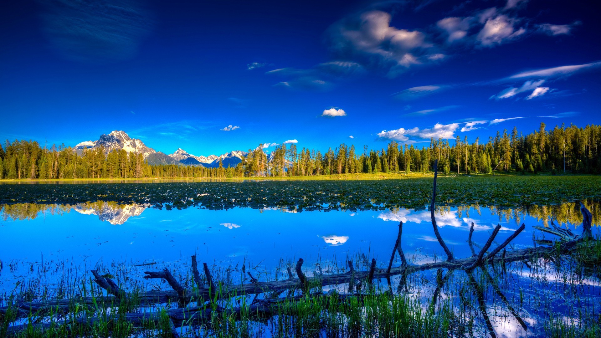 lac eau réflexion nature voyage ciel à l extérieur aube soir coucher de soleil paysage été scénique rivière bois