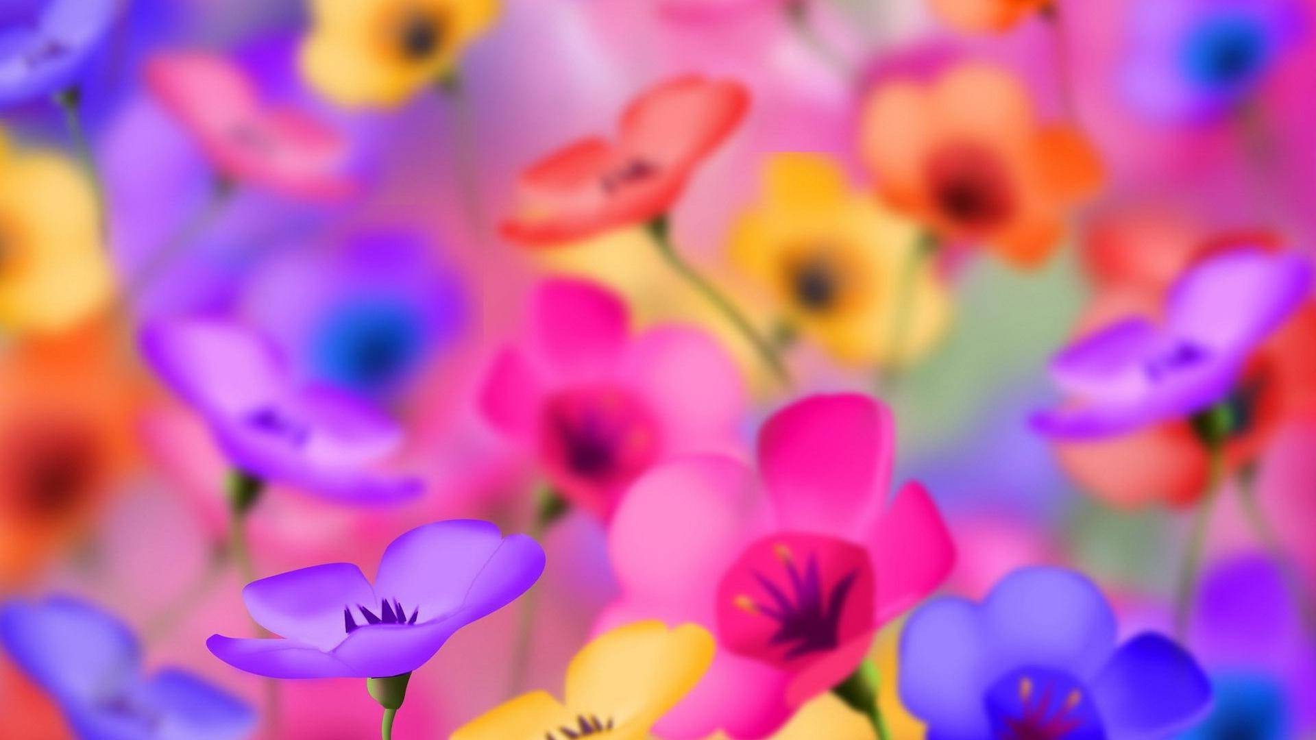 flowers bright nature blur flower color summer flora