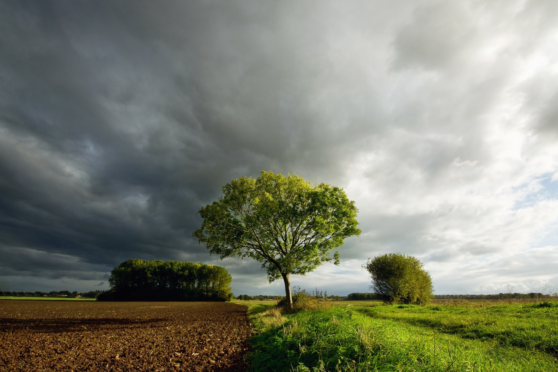 trees landscape sky tree nature rural countryside storm field grass cloud sunset outdoors agriculture sun farm cloudy dawn summer wood