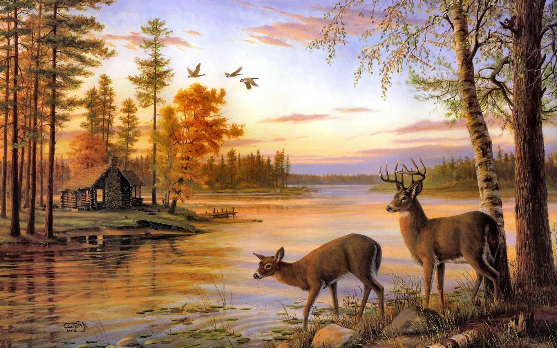 deer tree outdoors nature wood dawn fall water mammal sunset