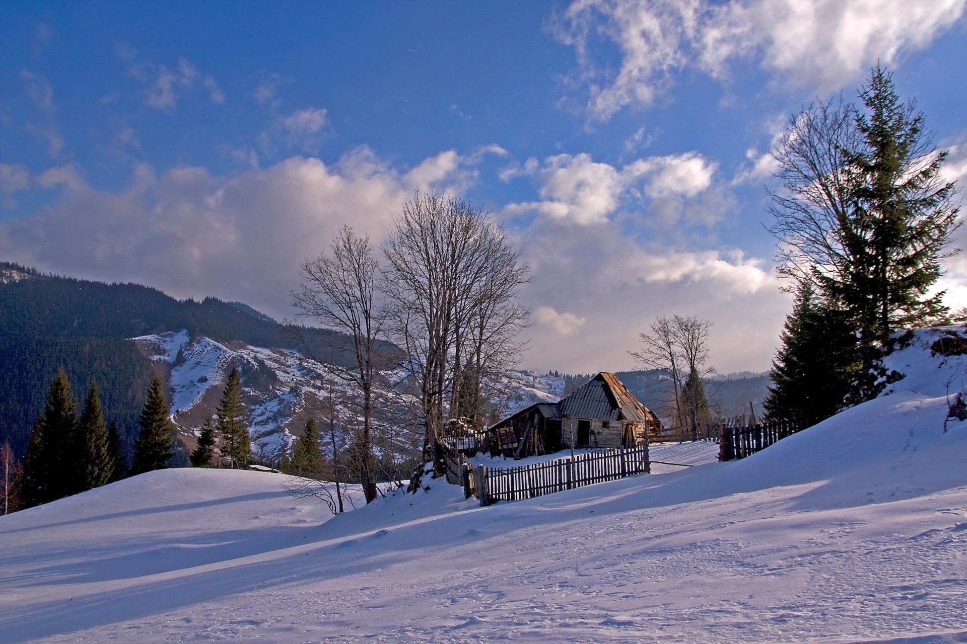 田野 草地和山谷 雪 冬天 寒冷 山 木 冰冻 冰 木 风景如画 霜 雪 风景 小木屋 度假村 常绿 小屋 小山 天气 轨道 季节