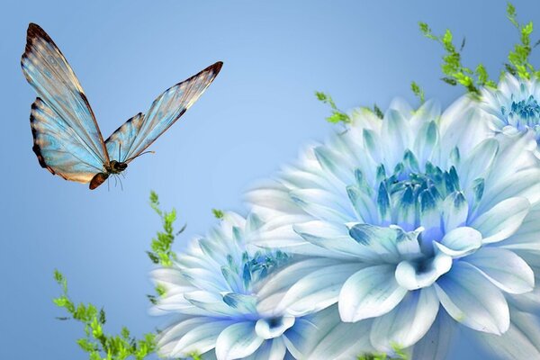 A blue butterfly flies to a blue flower