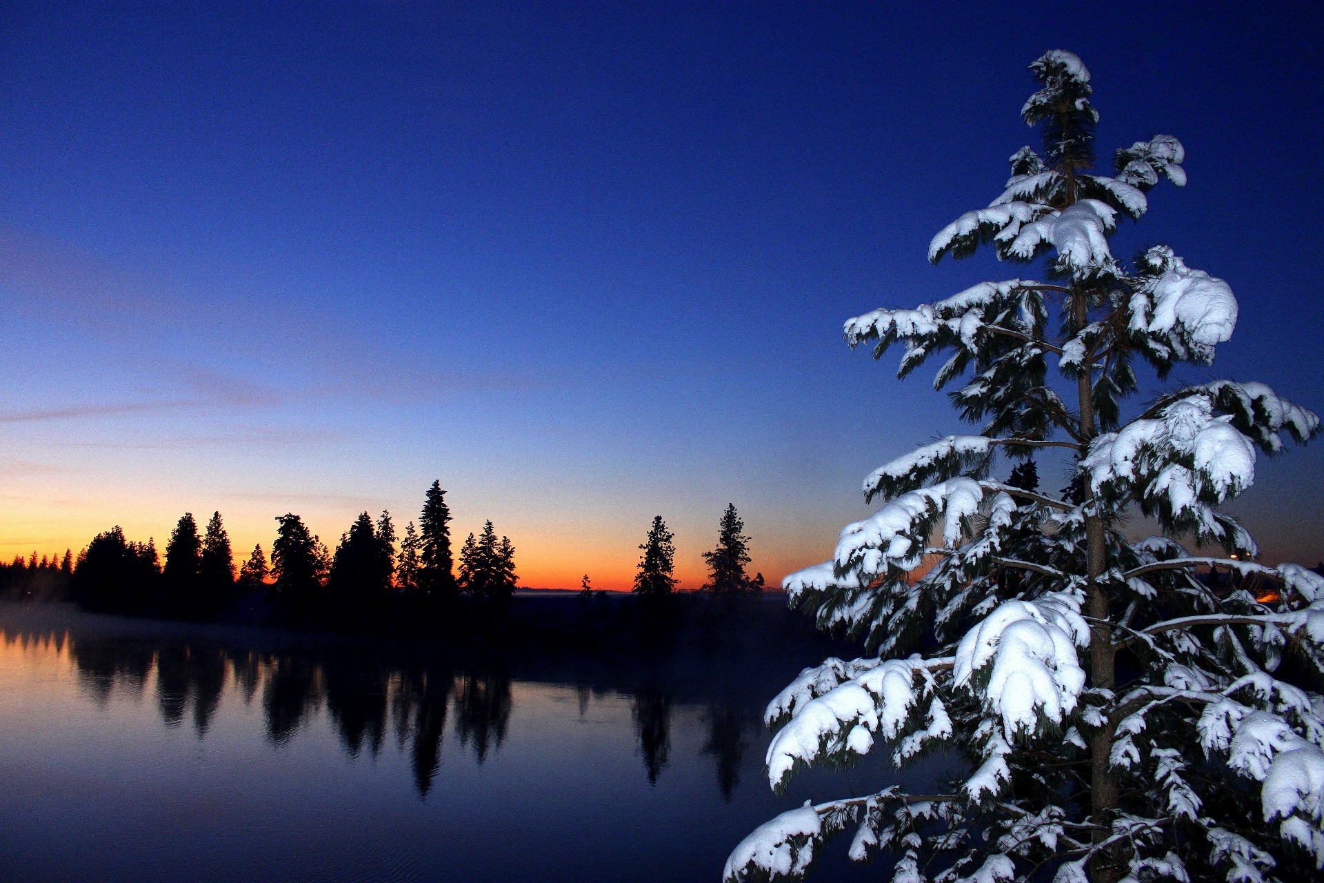 lake snow winter tree landscape evergreen wood cold conifer dawn outdoors scenic nature weather frost reflection sky