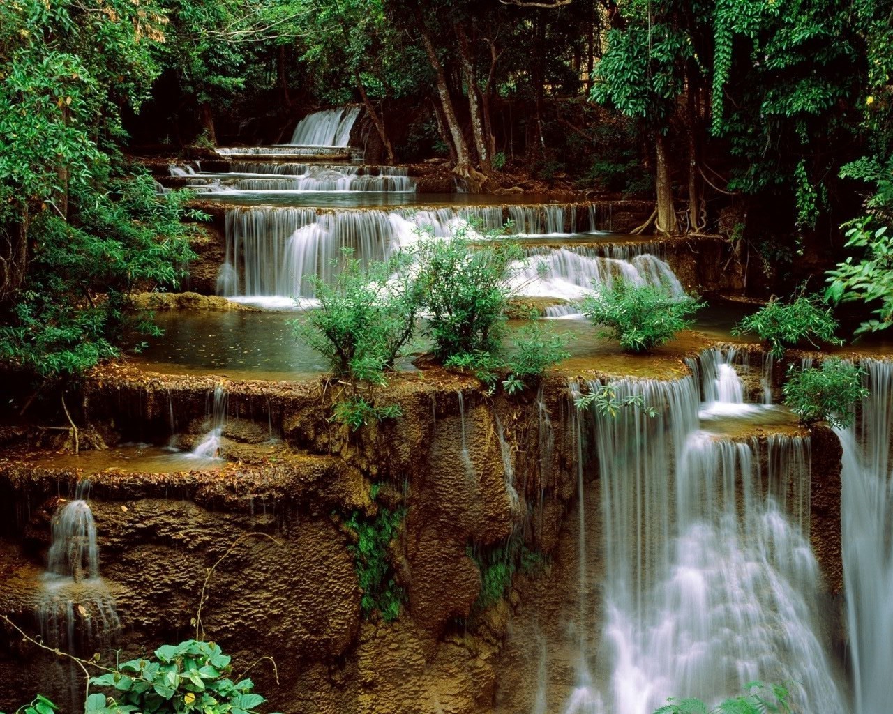 cascadas agua cascada naturaleza corriente mojado río tropical madera hoja otoño piedra cascada piscina corriente al aire libre parque creek roca viajes