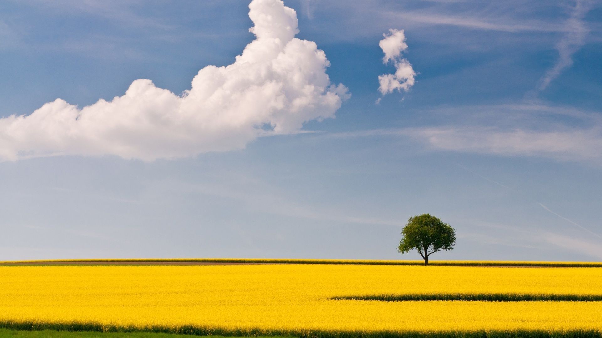 bäume feld bauernhof landwirtschaft landschaft himmel natur ländlichen ernte sommer horizont wolke im freien landschaft baum gutes wetter sonne weide bebautes land land