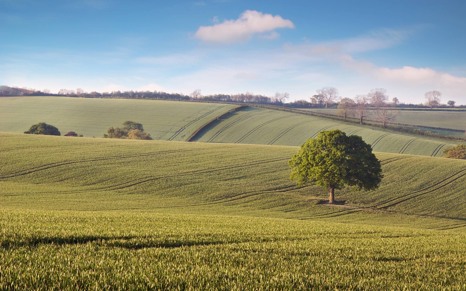 alberi paesaggio agricoltura campo fattoria terreni coltivati campagna rurale albero natura fieno pastorale raccolto cielo paese pascolo all aperto erba autunno grano