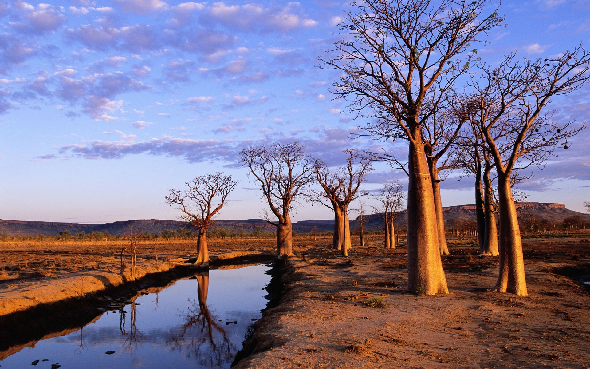 alberi paesaggio alba albero natura tramonto cielo all aperto acqua legno viaggi bel tempo sole riflessione scenico sera lago