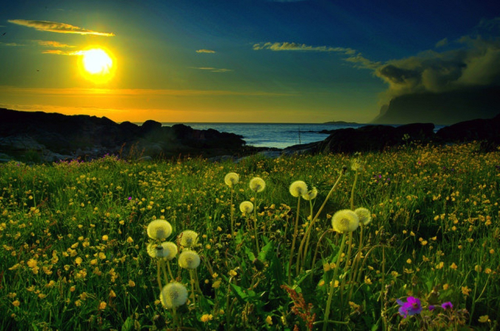 coucher du soleil et l aube soleil champ nature paysage aube herbe été coucher de soleil fleur foin beau temps pâturages ciel rural à l extérieur