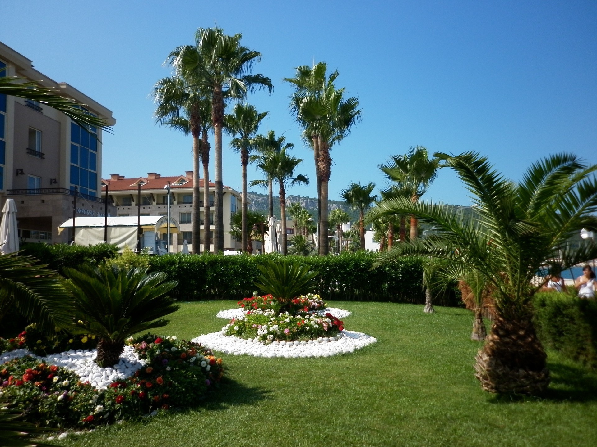 sea and ocean tree palm resort luxury hotel home lawn house swimming pool daylight architecture garden villa building chair wealth leisure patio pool