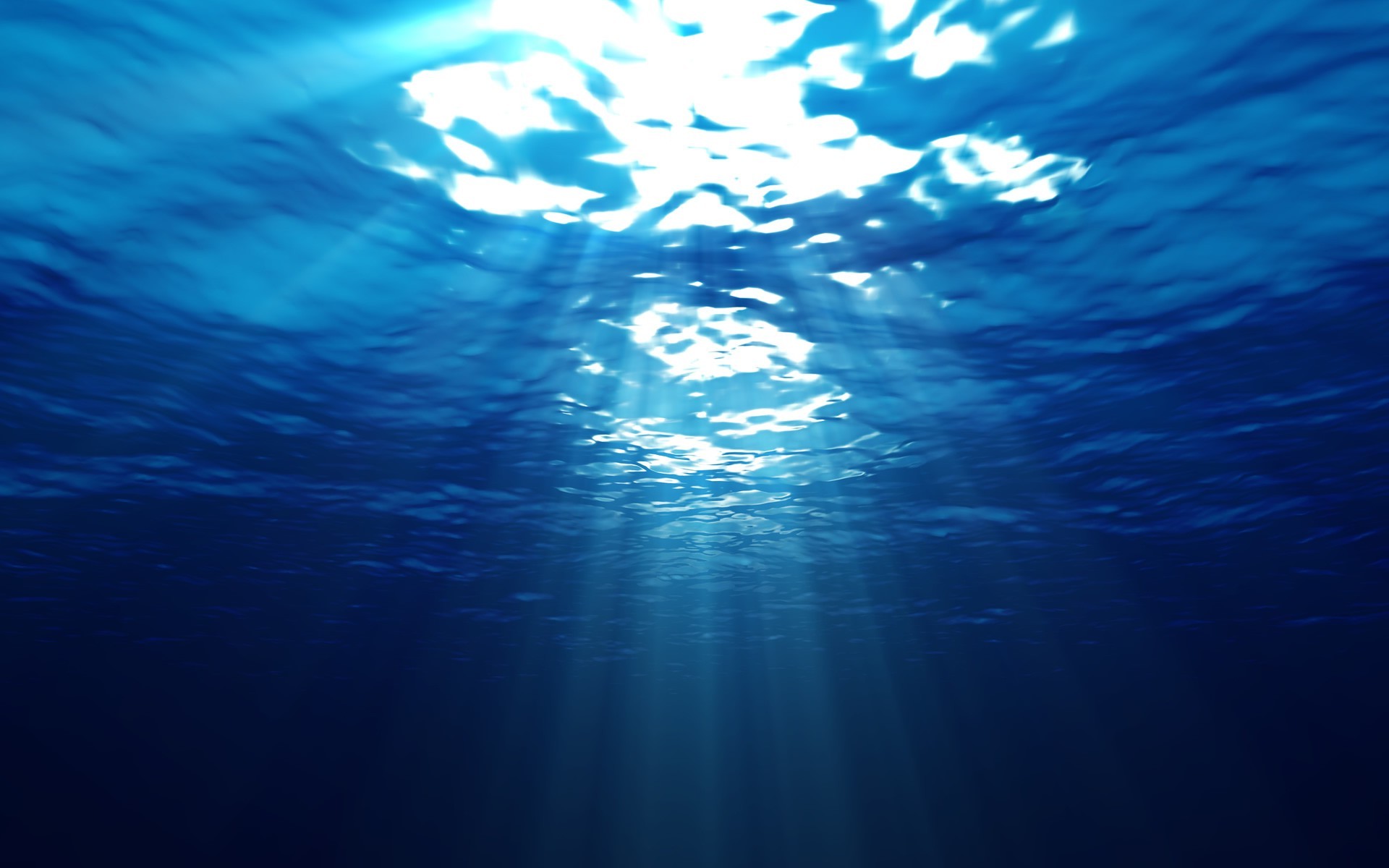 sea and ocean underwater sea water ocean nature sun fair weather desktop abstract deep light swimming