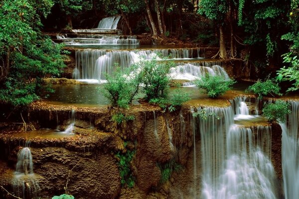 Pequeñas cascadas en medio del bosque