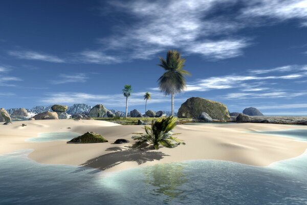 A deserted sandy beach with large boulders and palm trees