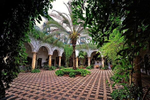 Andalusien, Spanien. Hof mit Palmen