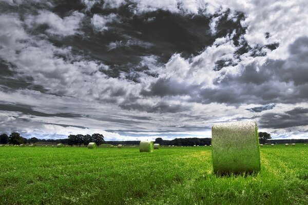 Green haystacks on a green field