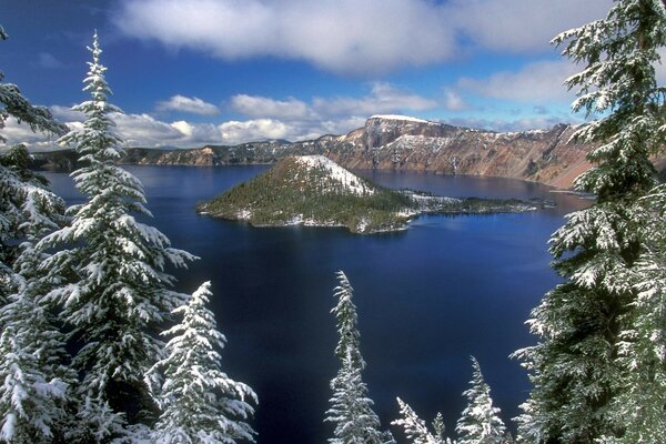 Paisaje de invierno con árboles e isla