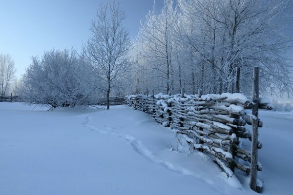 Cerca de madeira na neve taiga