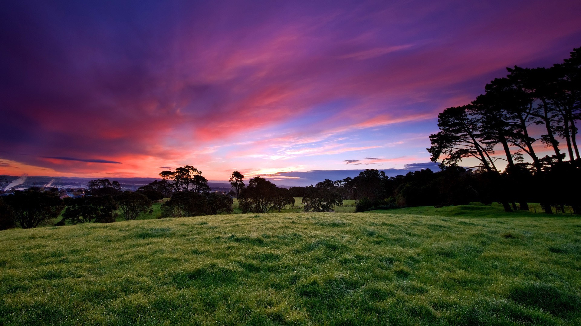 the sunset and sunrise sunset landscape grass dawn sun nature tree sky evening outdoors summer dusk fair weather countryside rural