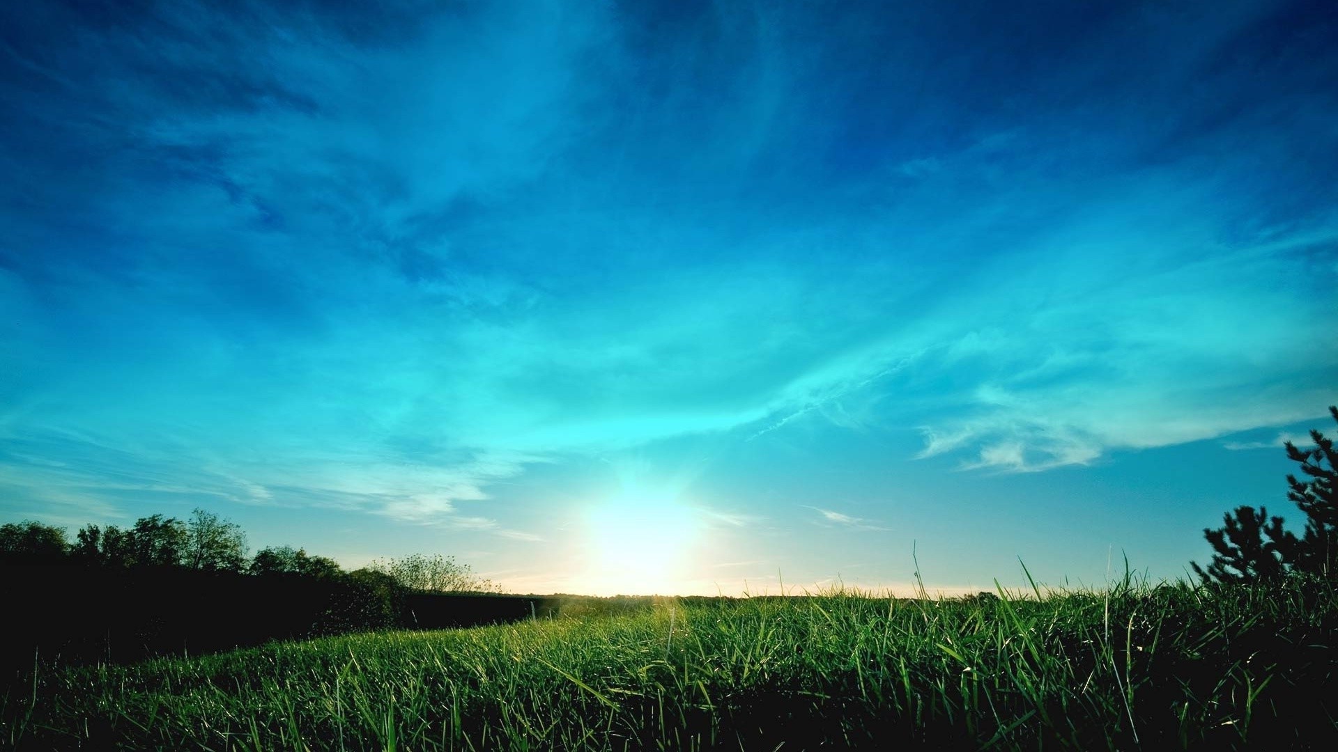 sommer natur himmel sonne gras landschaft im freien dämmerung gutes wetter des ländlichen raumes feld sonnenuntergang landschaft hell licht wetter idylle weide