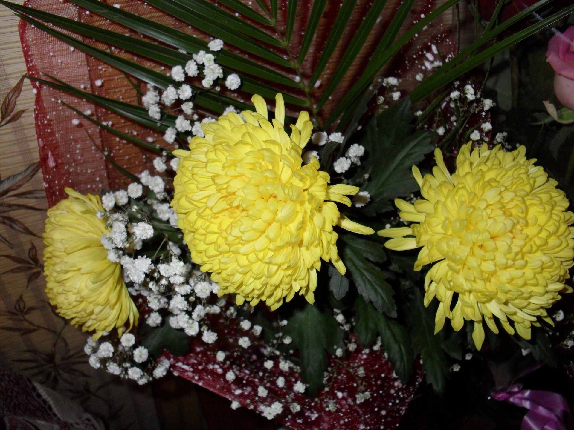 fleurs fleur nature feuille flore floral couleur jardin chrysanthème bouquet pétale décoration