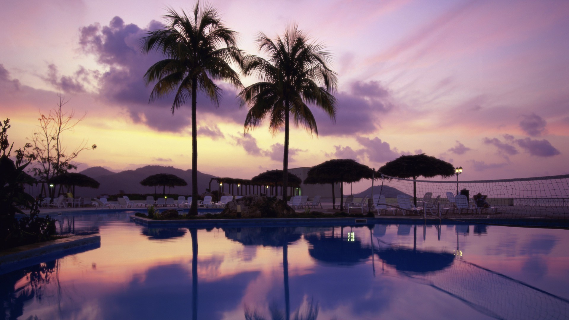 sea and ocean beach water sunset tropical sun ocean seashore palm reflection dawn travel summer exotic island resort sea tree sand bay paradise