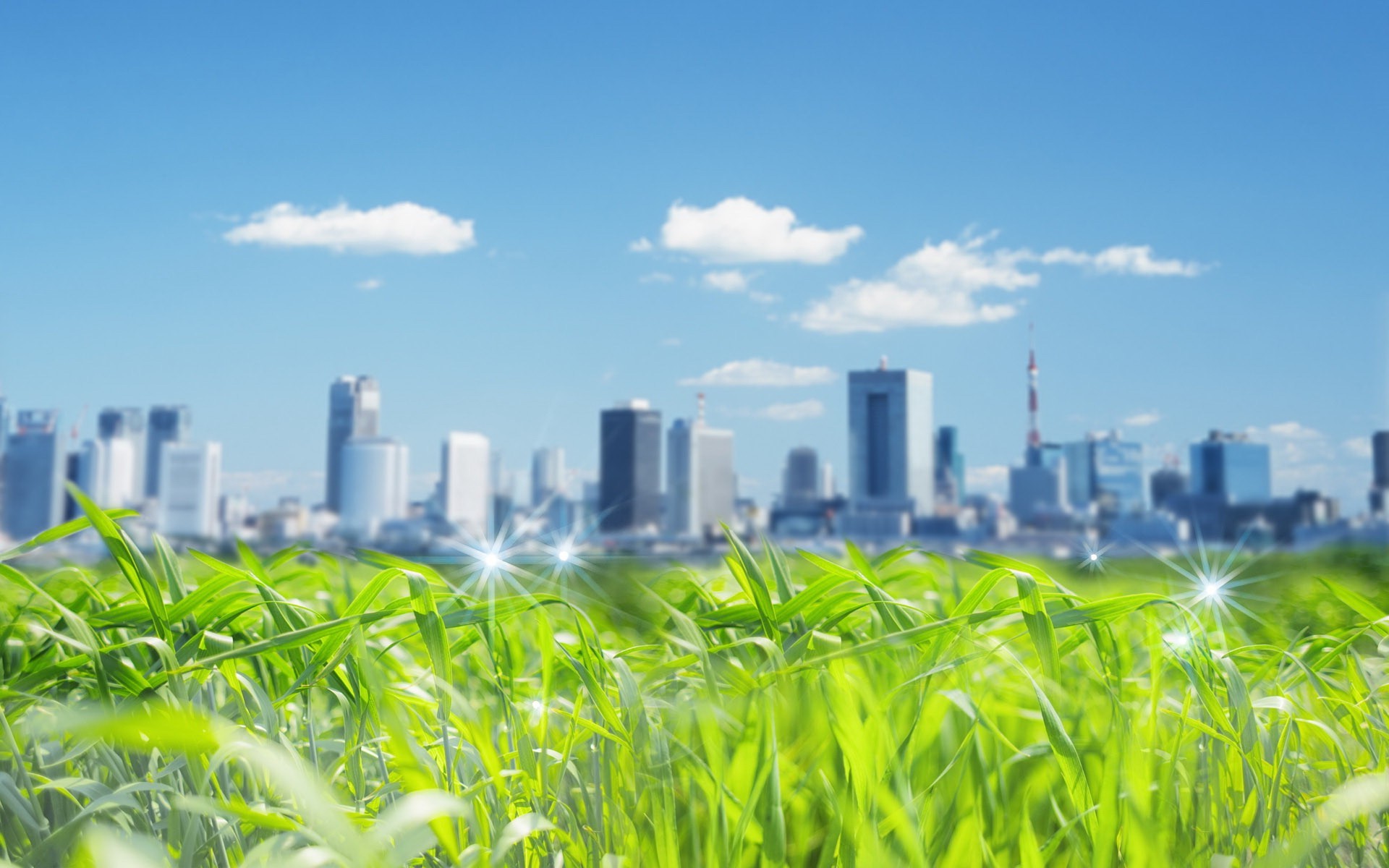 stadt feld gras himmel natur umwelt sommer wachstum sonne ökologie