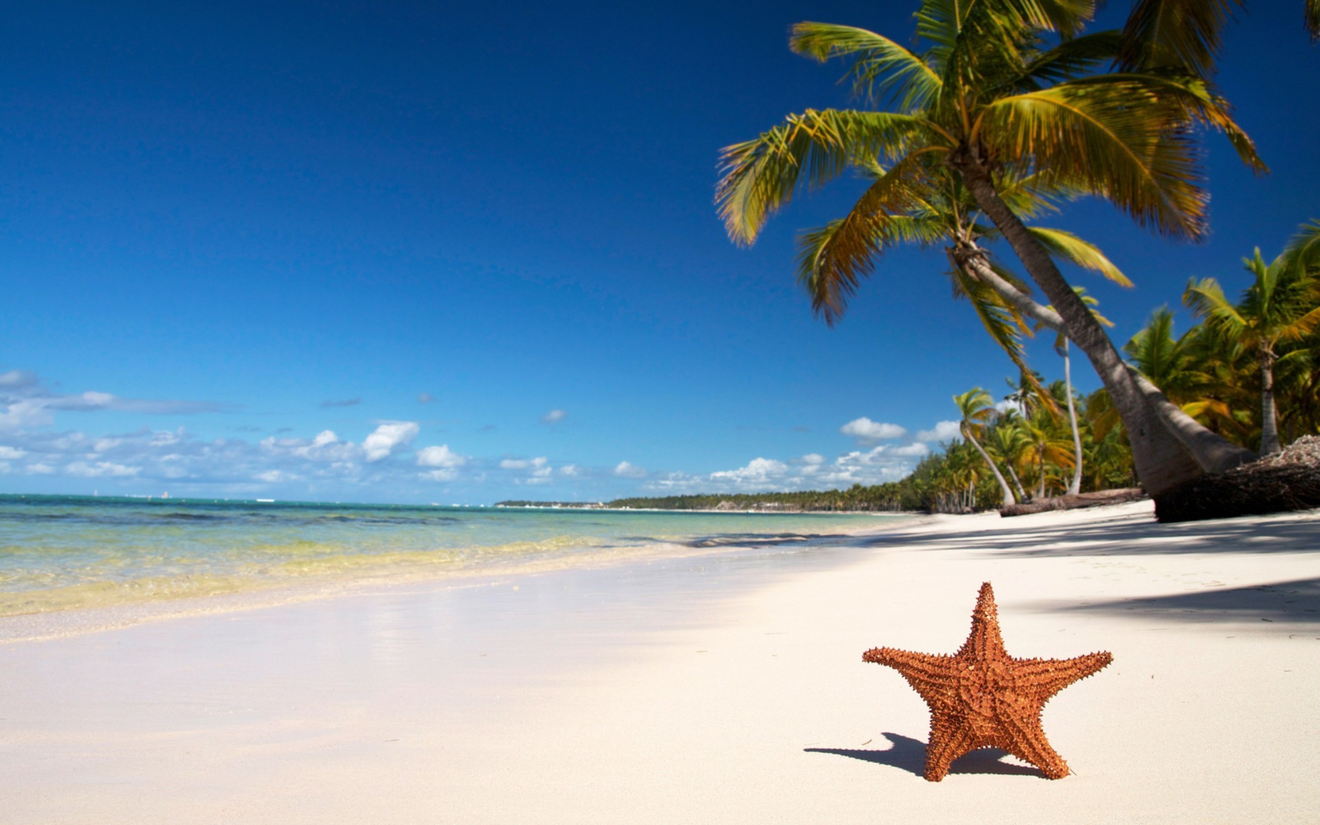 mer et océan plage sable tropical mer voyage eau été océan vacances idyllique île mer soleil détente paysage paradis exotique surf station