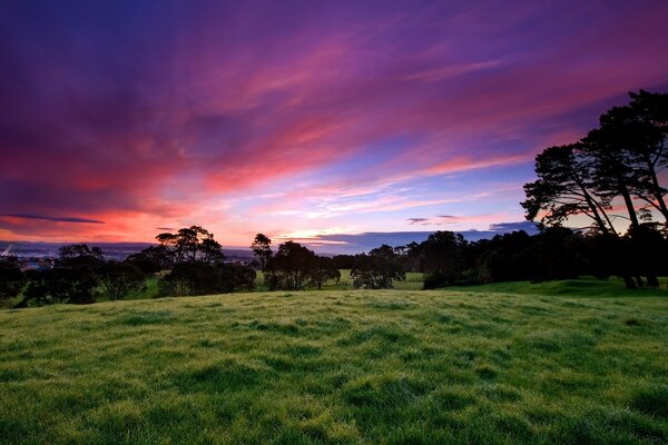 Paisaje con césped en el fondo de la puesta de sol