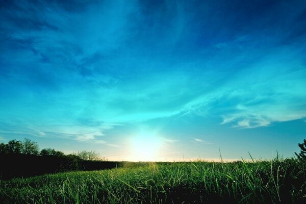 Schöner Sommer Sonnenuntergang mit blauem Himmel