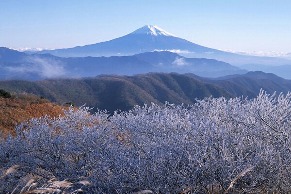 Paysage avec des montagnes volcaniques et la végétation