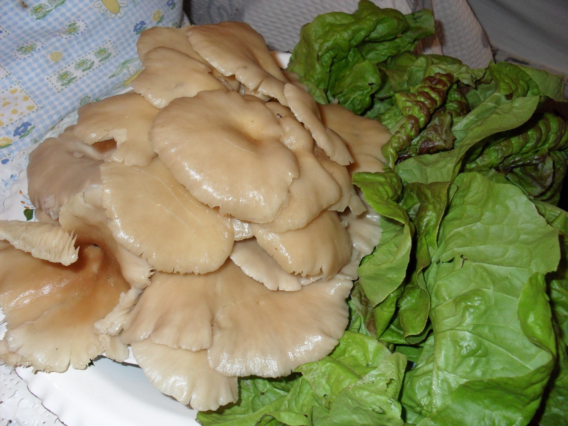 个人照片 食物 蔬菜 烹饪 种植 晚餐 健康 营养