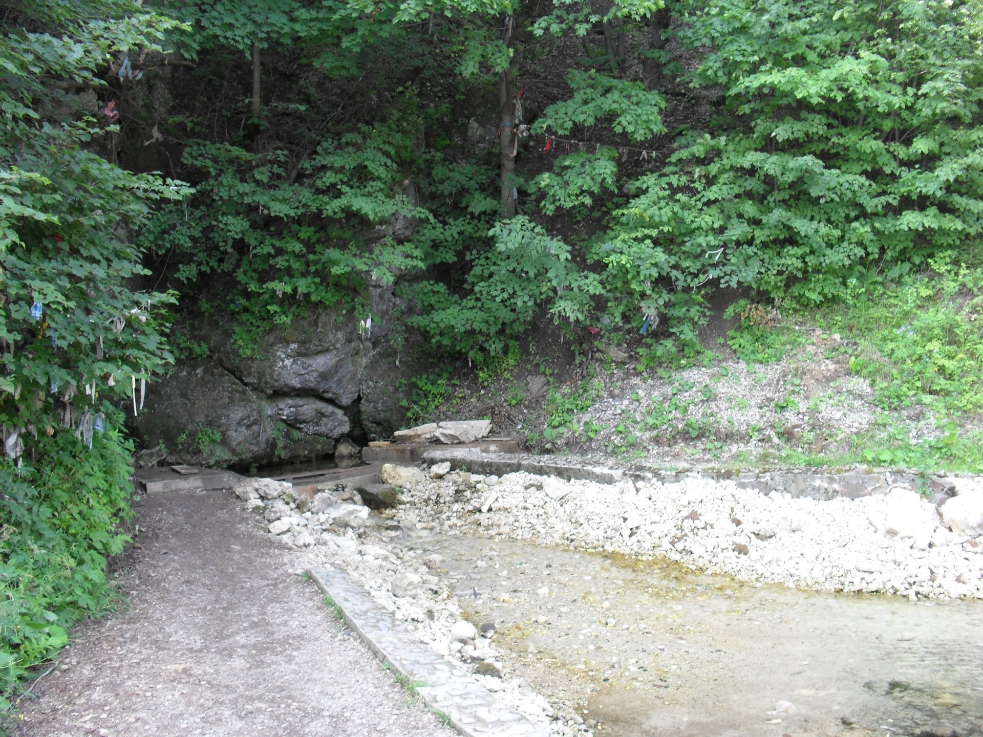 native open spaces nature landscape wood water leaf environment outdoors tree summer flora park river road lush stream scenic travel stone