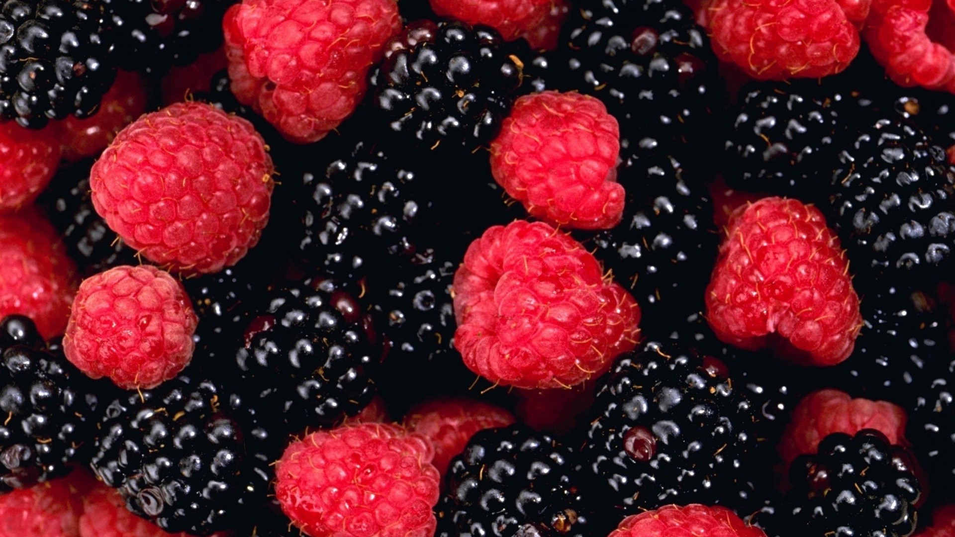 beeren himbeeren brombeeren obst beere süß lebensmittel lecker saftig gesund gebäck frische erfrischung lecker diät epikur essen blaubeeren schließen viele