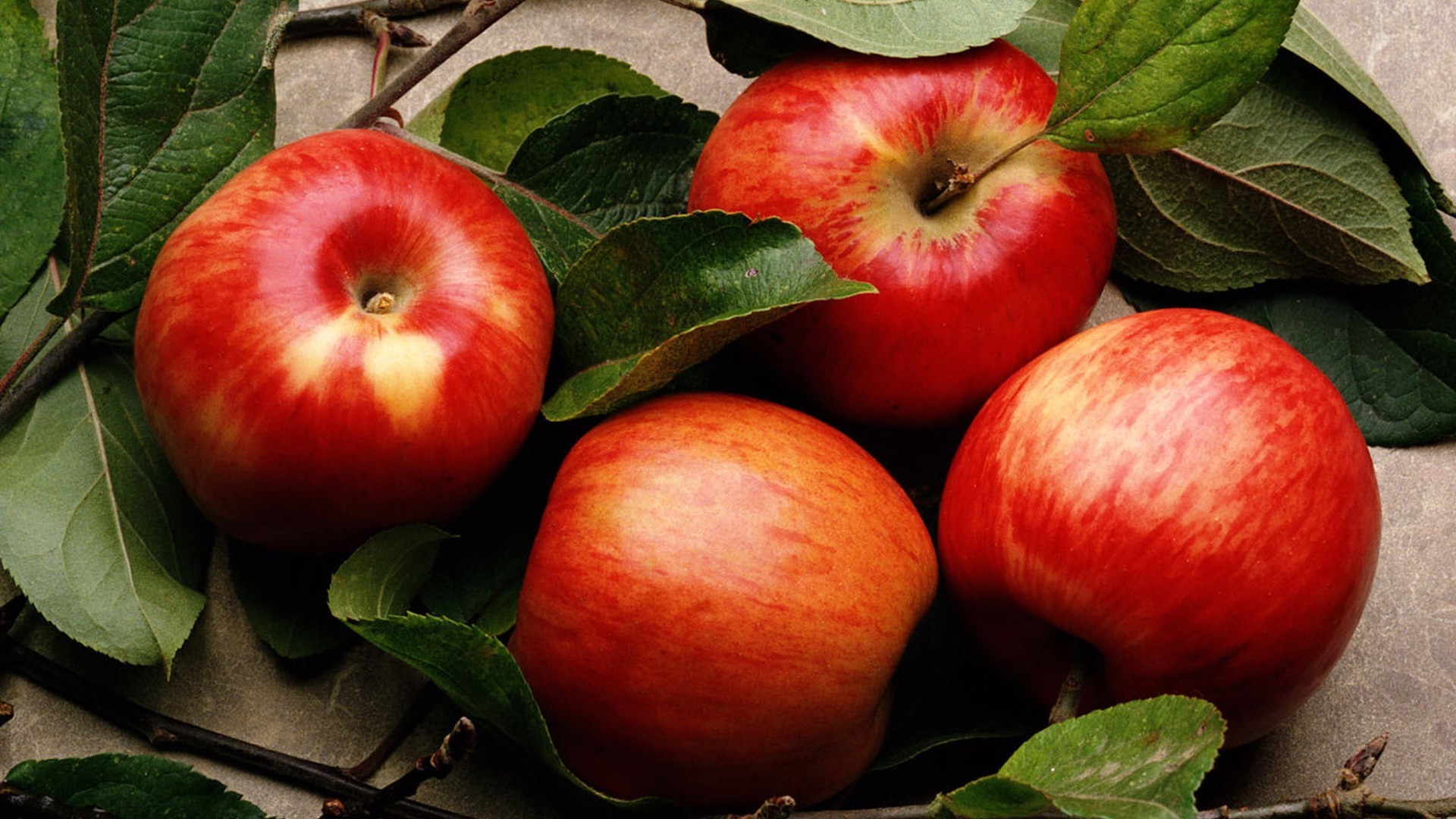 fruits pomme feuille alimentaire juteux automne en bonne santé nature pâturage confiserie santé alimentaire délicieux agriculture fraîcheur jardin régime alimentaire