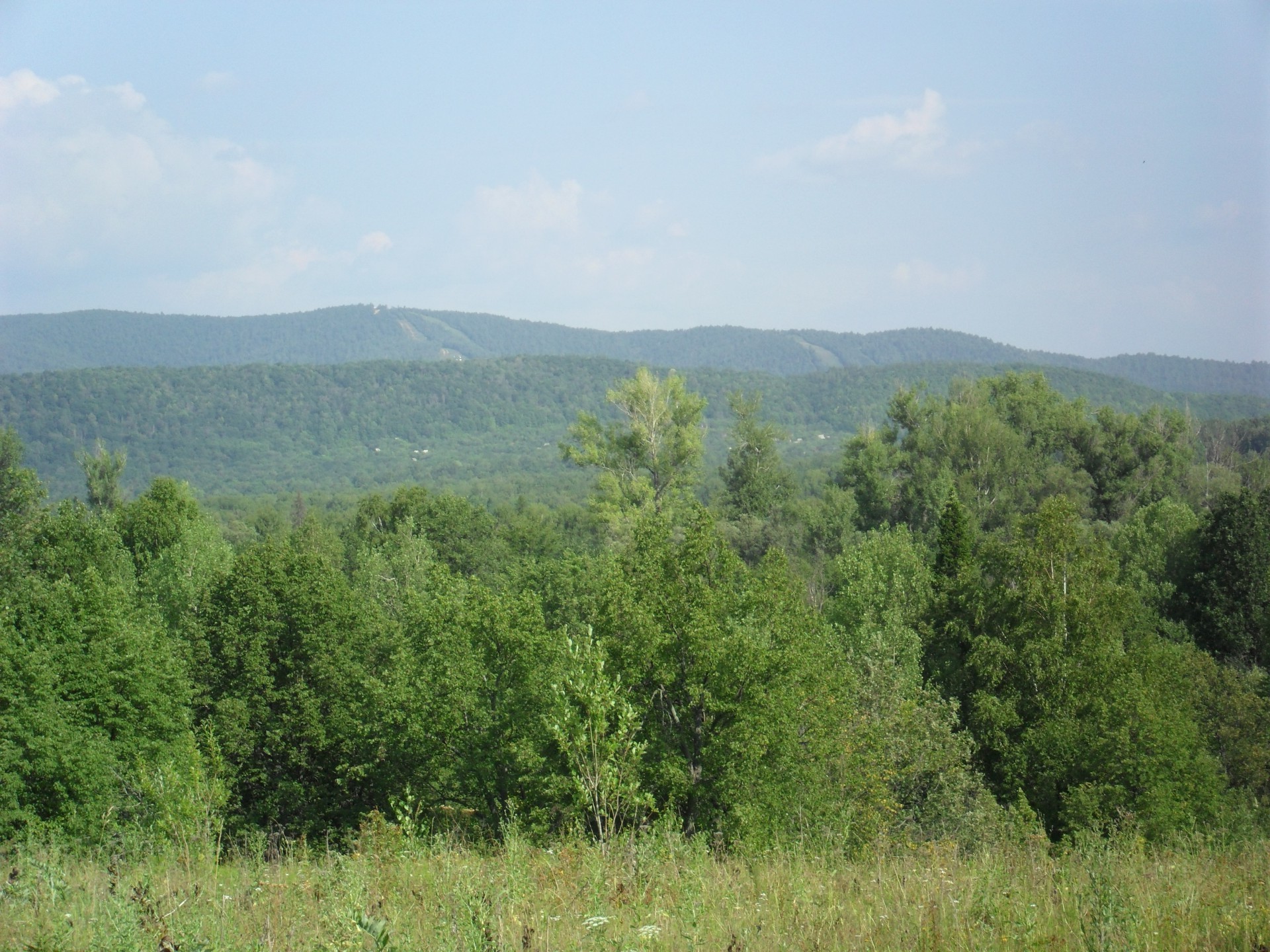 rodzime przestrzenie krajobraz drzewo drewno natura niebo na zewnątrz podróże lato wzgórze malownicze góry trawa rolnictwo światło dzienne pole wieś sianokosy flora pastwiska