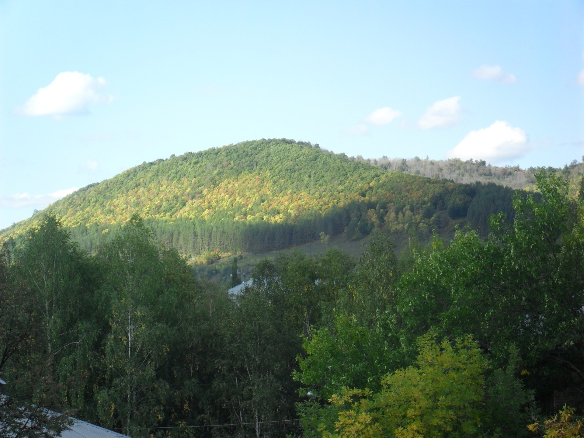 distese native paesaggio albero montagna legno natura collina viaggi cielo ambiente scenico fiume acqua valle all aperto luce del giorno parco estate roccia lago