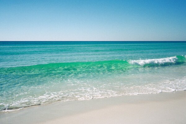 SURF SULLA SPIAGGIA BIANCA A MEZZOGIORNO