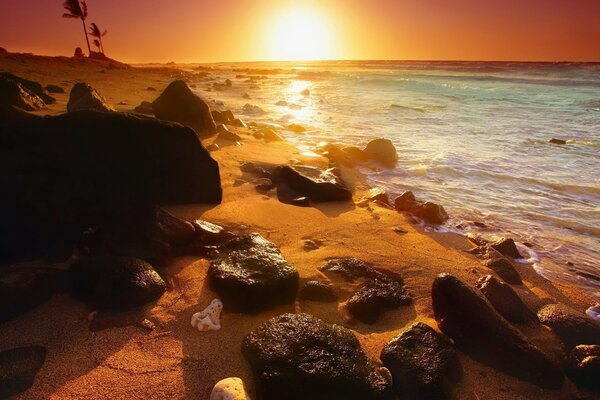 Coucher de soleil d été sur une île tropicale